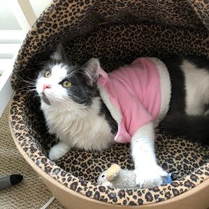 Meet your Posher, Leilei